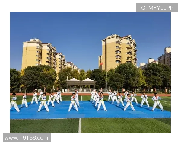 南京乒乓球队比赛经验分享与成长之路的深度探讨